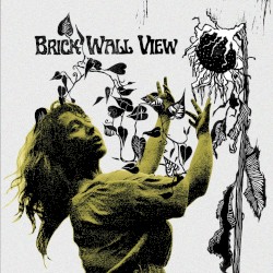 Brick Wall View