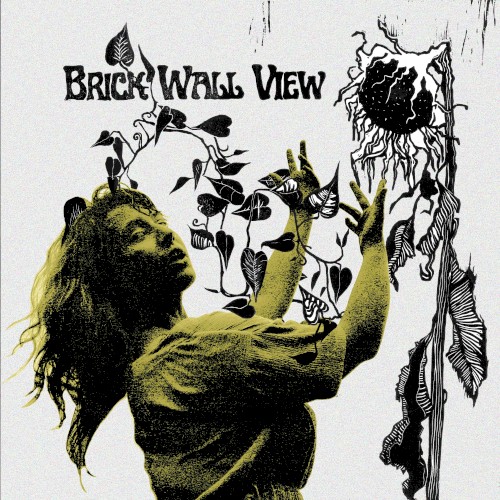 Brick Wall View