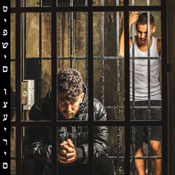 טיפשים וצעירים