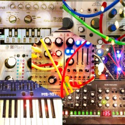 LIFEFORMS 2020