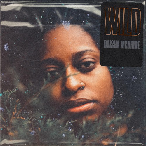 Wild