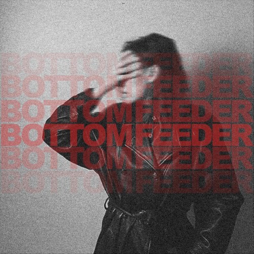 Bottom Feeder