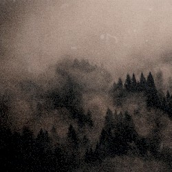 That Comes From the Tree and the Mist