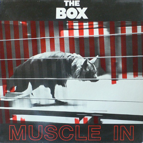 Muscle In