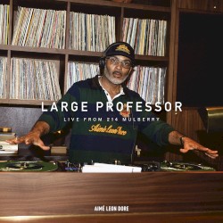 Large Professor at 214 Mulberry