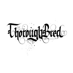Thorough Bred