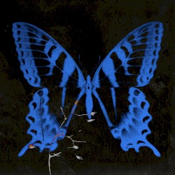 GANGGANGSULLAE