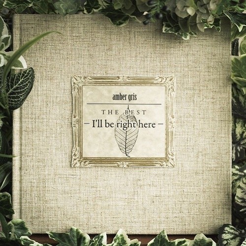 amber gris The Best - I'll be right here-
