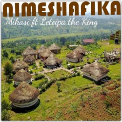 Nimeshafika