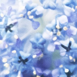 resolve / relate 05