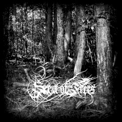 Aokigahara