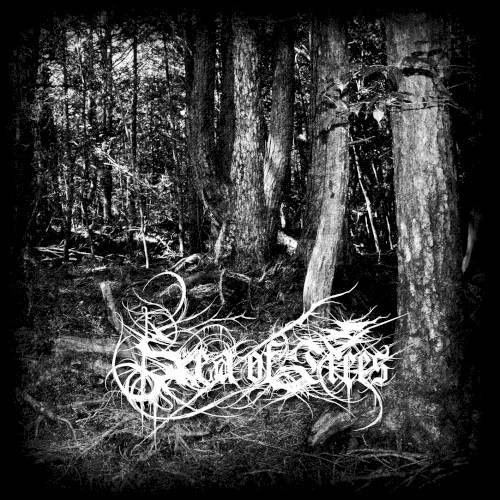 Aokigahara