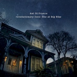 Revolutionary Love: Live at Big Blue