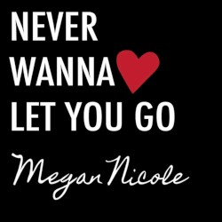 Never Wanna Let You Go