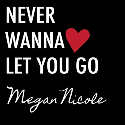 Never Wanna Let You Go