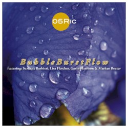 BubbleBurstFlow