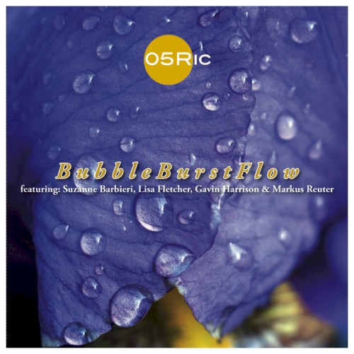BubbleBurstFlow