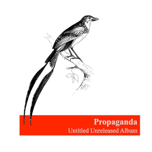 Untitled Unreleased Album