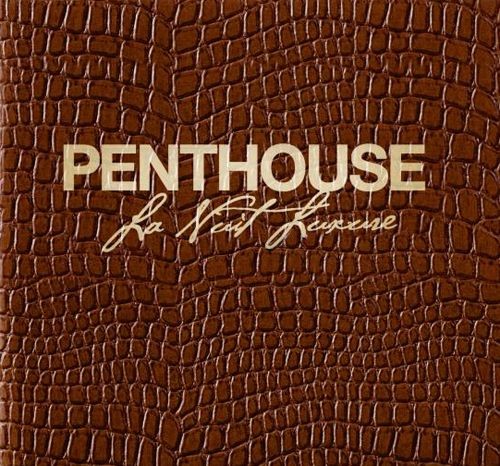 Penthouse : La nuit luxure