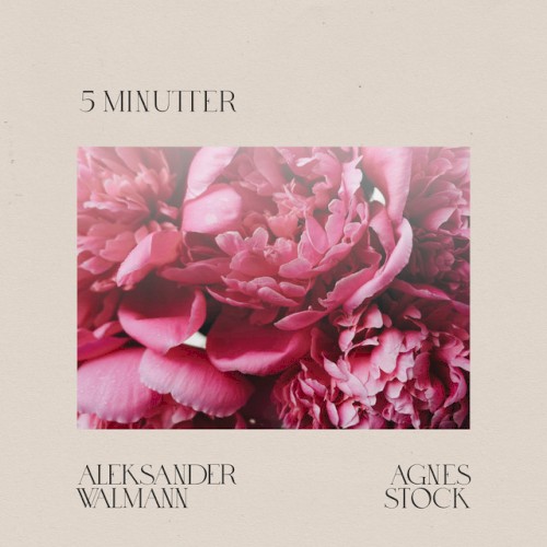 5 minutter