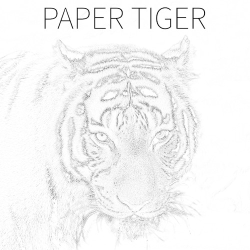 Paper Tiger