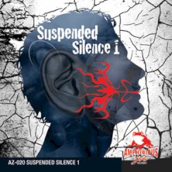 Suspended Silence 1