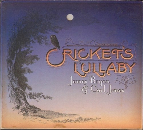 Cricket’s Lullaby