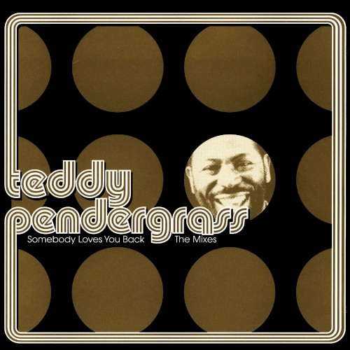 Somebody Loves You Back: The Mixes