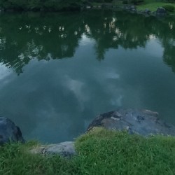 ambient kyoto 0022