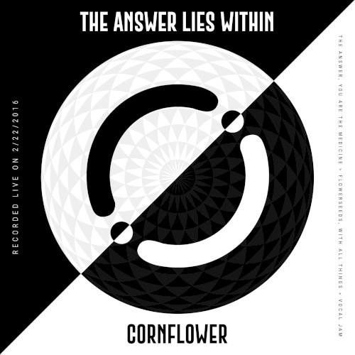 The Answer Lies Within