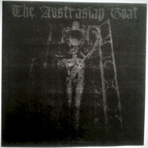 The Austrasian Goat
