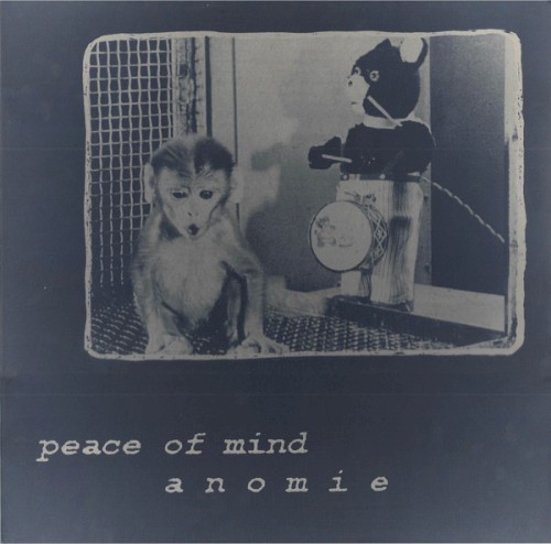 Peace of Mind / Anomie