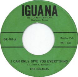 I Can Only Give You Everything