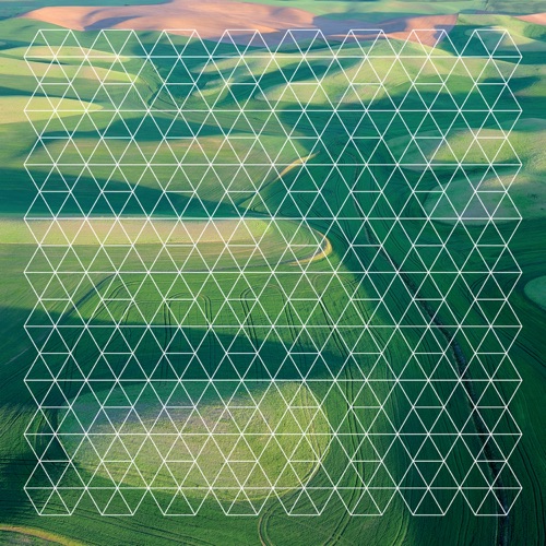 Fields