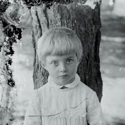 Niechęć