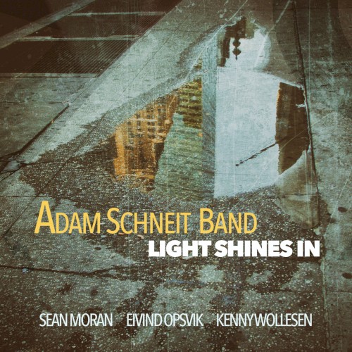 Light Shines In