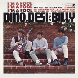 I’m a Fool