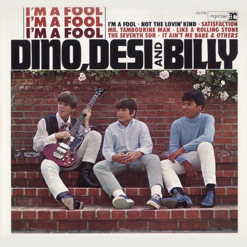 I’m a Fool