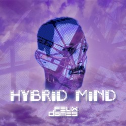 Hybrid Mind