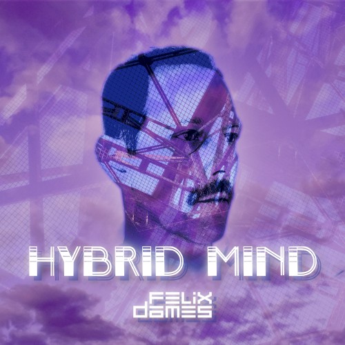 Hybrid Mind