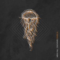Cold Waves Divide Us