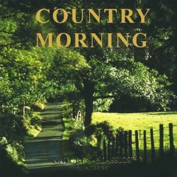 Country Morning