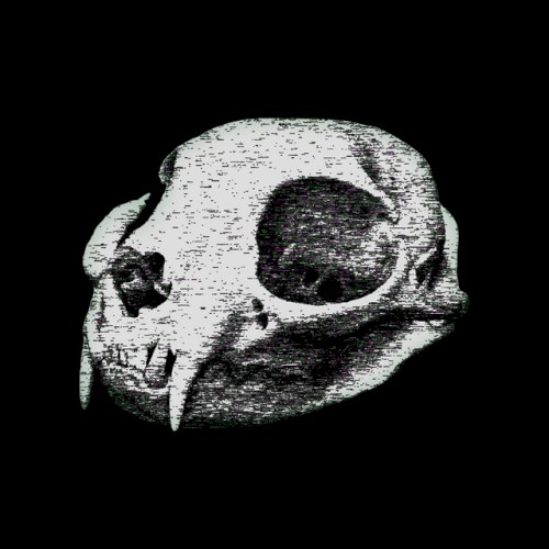 Pseudo Panther