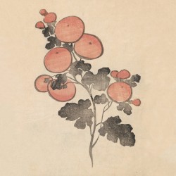 Flor Imaginaria