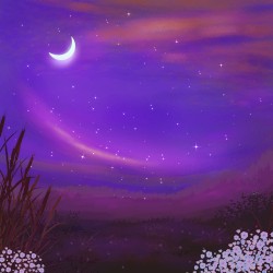 dreams of midnight