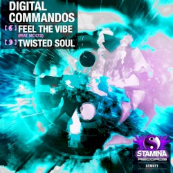 Feel The Vibe / Twisted Soul