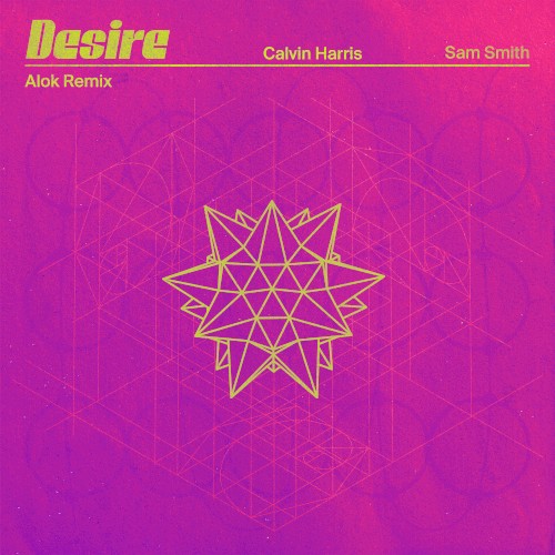 Desire (Alok remix)