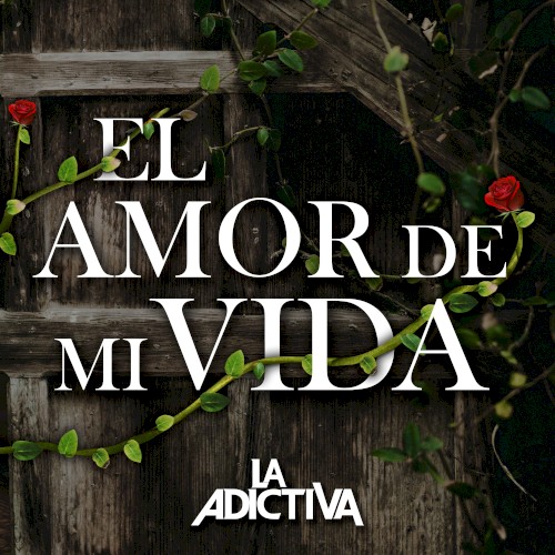 El amor de mi vida