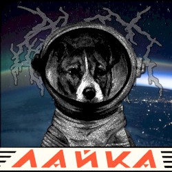 Лайка