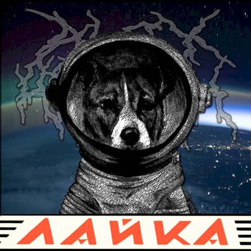 Лайка